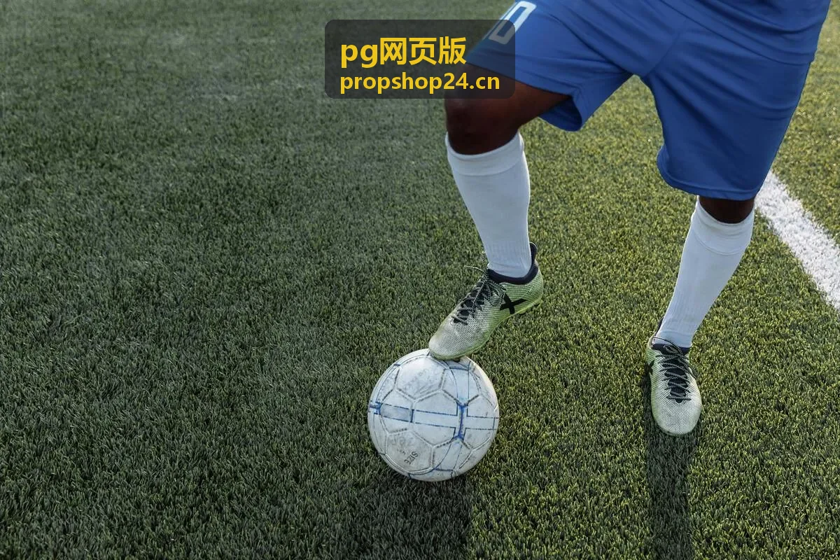 pg网页版登录保护与设备管理界面示意