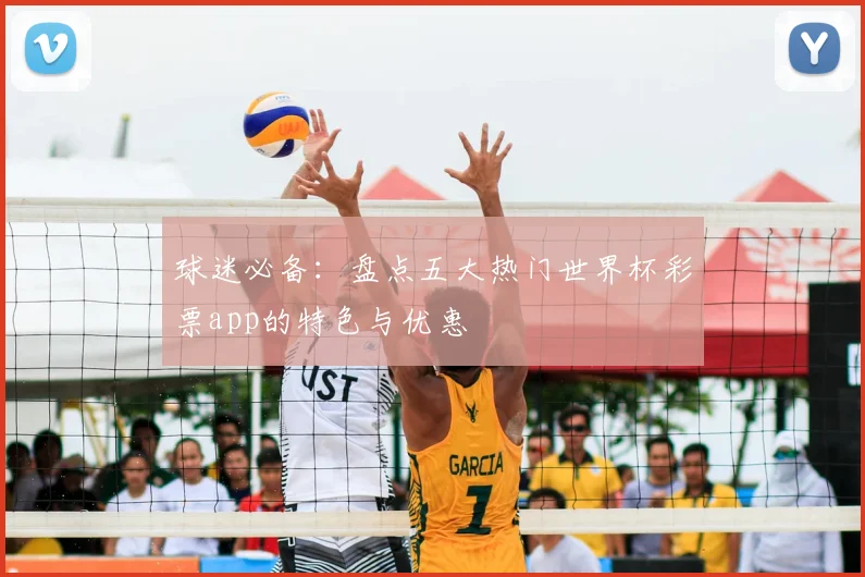 球迷必备：盘点五大热门世界杯彩票app的特色与优惠