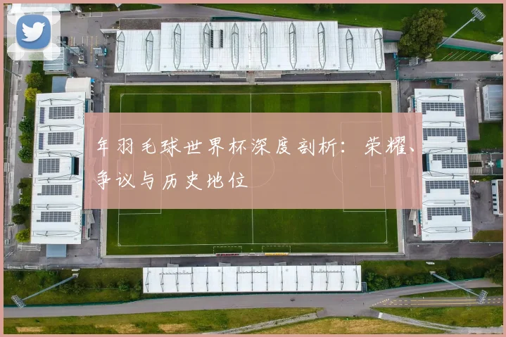 年羽毛球世界杯深度剖析：荣耀、争议与历史地位