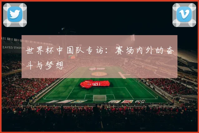 世界杯中国队专访:赛场内外的奋斗与梦想